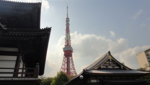 Tokyo tower. Niegorsze widoki można zobaczyć nieodpłatnie z budynku rządowego w Shinjuku