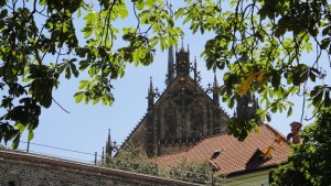 Katedra w Brnie